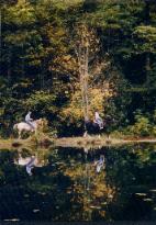 Beautiful scenery riding at Arrowmont Stables